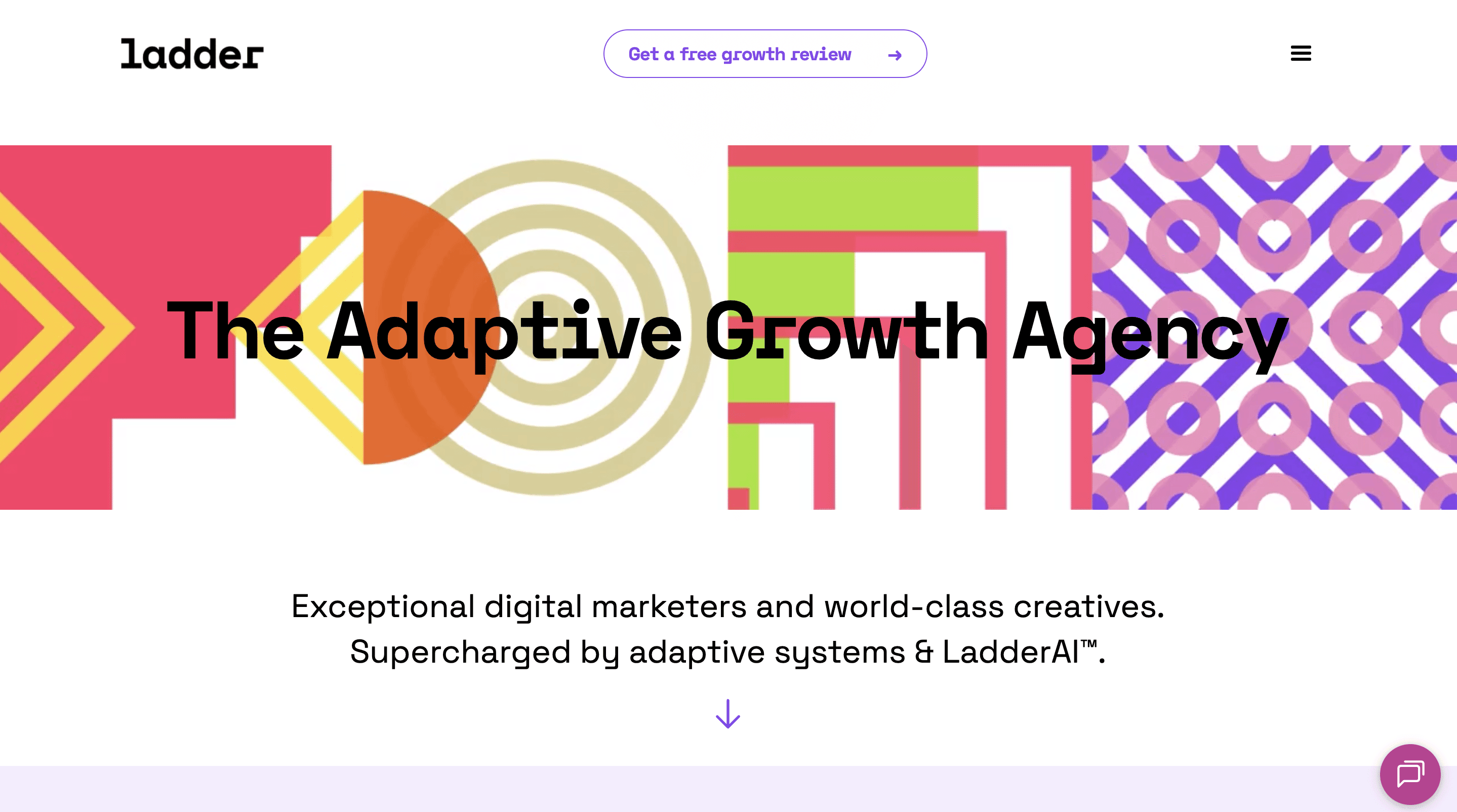 Local Business Marketing Agency - Ladder Homepage 2026