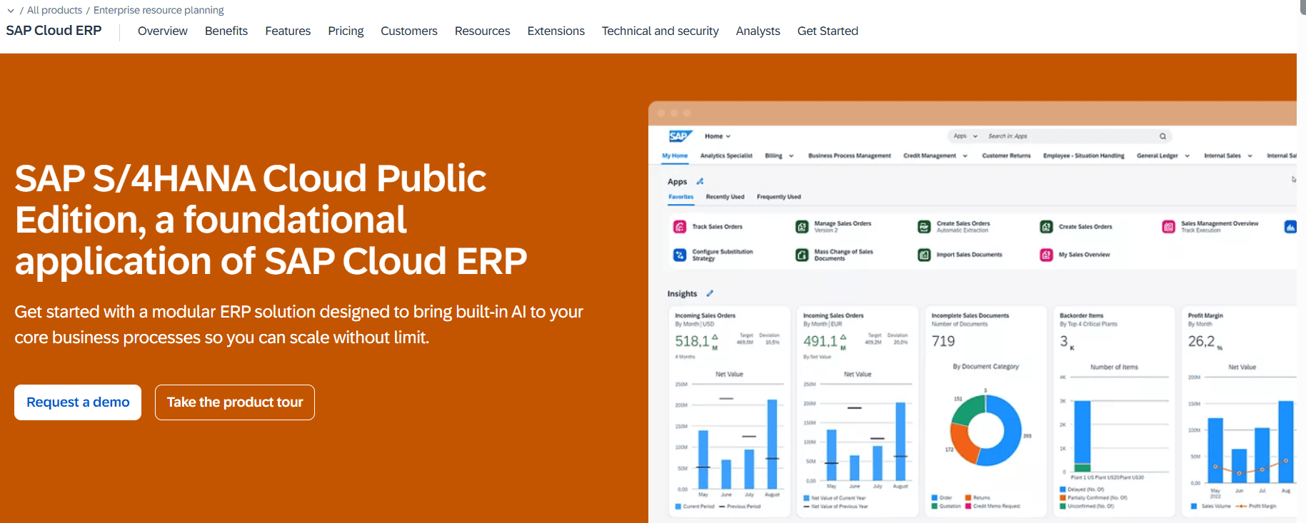 SAP S4HANA Home Page Banner