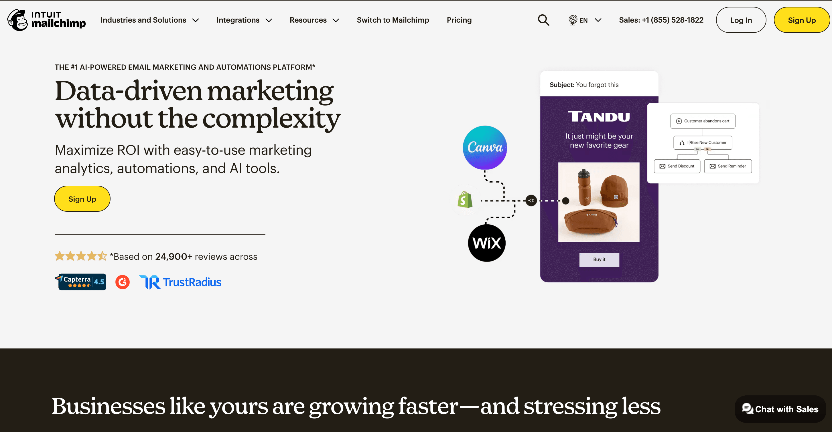 Local Business Marketing Agency - mailchimp homepage 2026