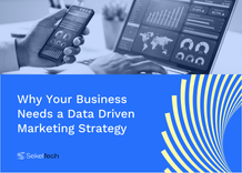 その他 Strategic Database Marketing 41mUQa4p3NL.jpg_BO30,255,255,